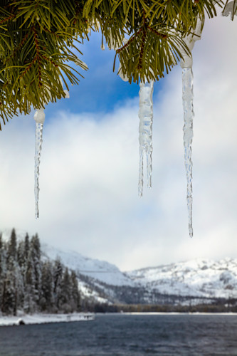 Icicles at donner lake 2 smdcle