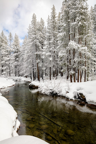 Donner creek 2 ky5wa1