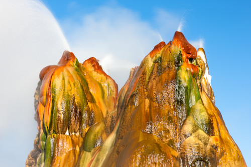 Fly geyser 7 bhxztb