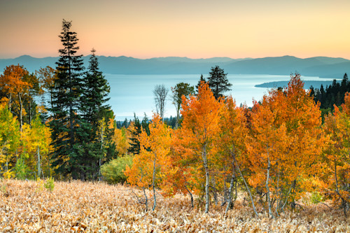 Aspens above lake tahoe 13 t5gveg