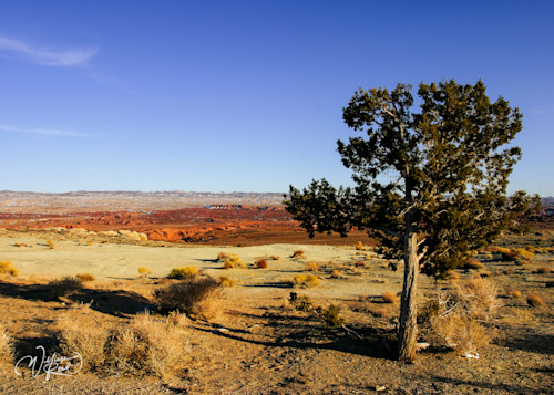 Reed canyon 13 f2gaf1