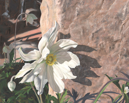 Spring Anemone Art | mizrahiarts