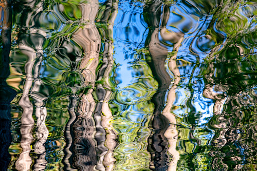 Tree reflections on donner lake 1 rslufz
