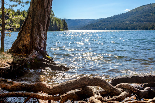Donner lake roots 1 kmxsqb