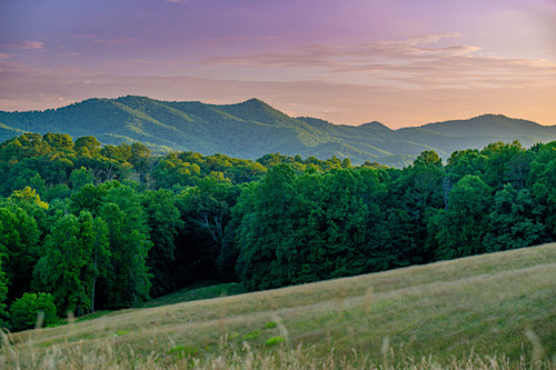 Franklin deer in the field nnlauj