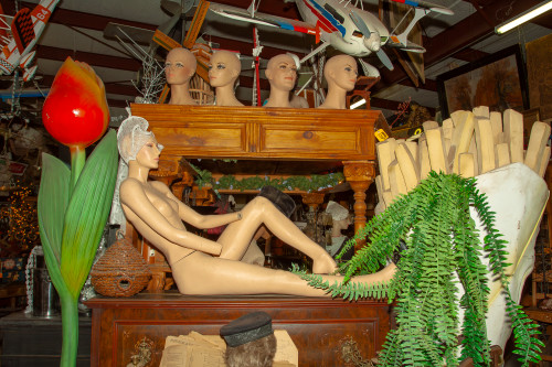 Scott kasden weird forney tx 7 khyqoq