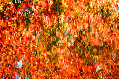 Reflection 1 of 1 zv0xtz