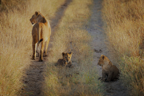 Scott kasden  p8a0382 edit edit rlc9kj