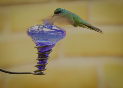 Scott kasden 14 ecuador cuenca cityscapes hummer xryv7x