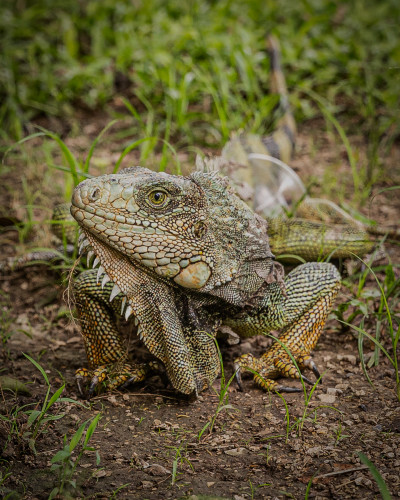 Scott kasden 14 ecuador cuenca street scenes 8a btywqv