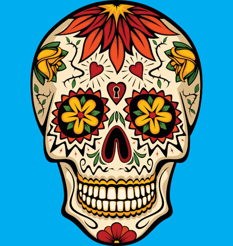 Skull blue copy fs6cnx