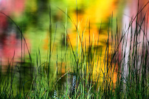 Fall reflection 1 of 1 y0e8tb