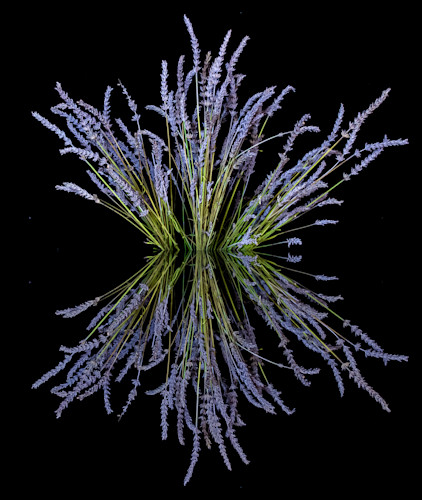 Reflexion copy 1 mvac1q