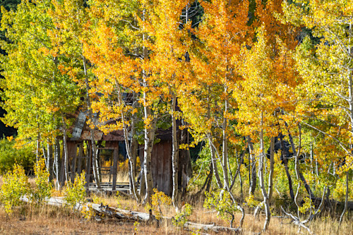 Shack in the aspens 16 s0ciux