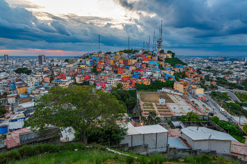 8p8a1113 colorfu guayaquil ybvafy