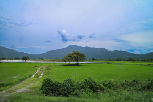 5697 country scenery ld2yrh