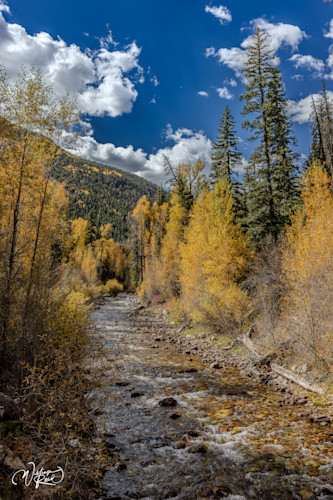 Aspen fall 20 ap47la