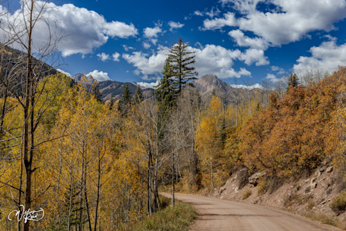 Aspen fall 22 oph4nx