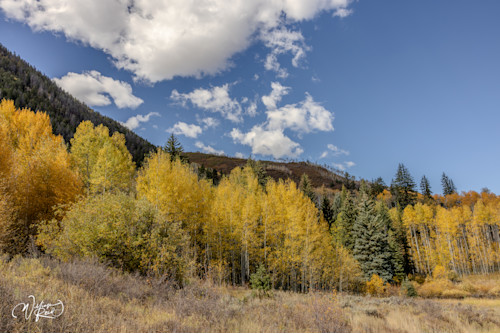 Aspen fall 24 gbi990