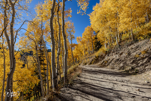 Aspen fall 25 kjvaes