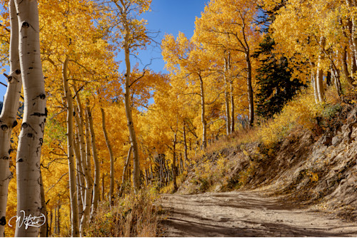 Aspen fall 27 kgq4yv