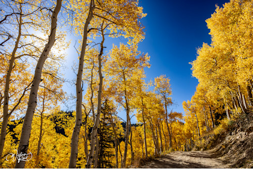 Aspen fall 28 egwymi