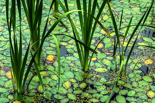  f6a2575 1 edit 1 r3npxh