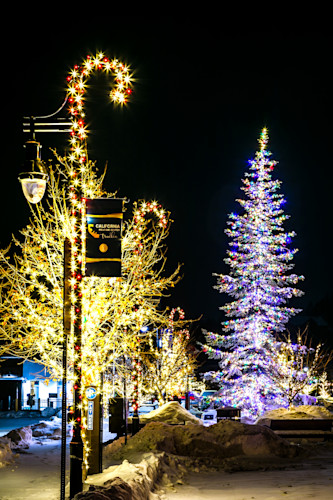 Snowy christmas tree in truckee 19 utdyom