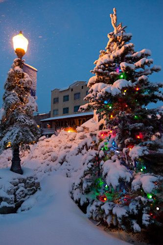 Snowy christmas tree in truckee qw7xav