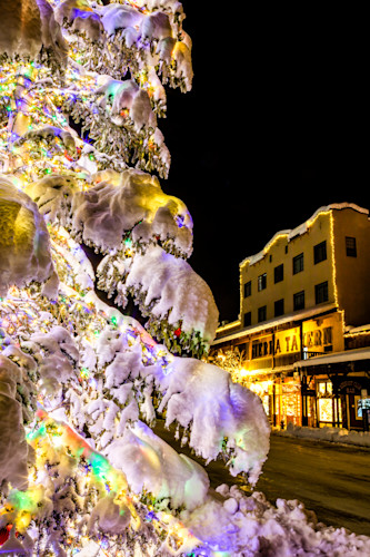 Snowy christmas tree in truckee 24 lobvz4