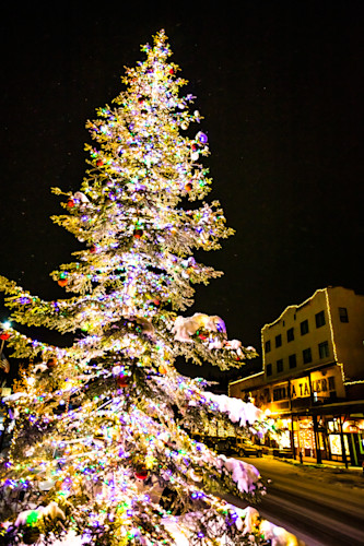 Snowy christmas tree in truckee 16 yi8ios
