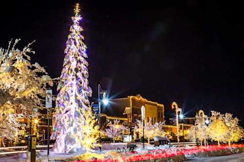 Snowy christmas tree in truckee 14 gedfnx