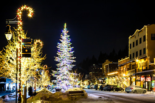 Snowy christmas tree in truckee 18 b1ionw