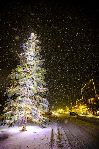 Snowy christmas tree in truckee 10 uctbf8