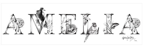 Amelia 600x175mm scqtcm