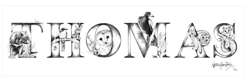 Thomas 600x175mm lfuod6