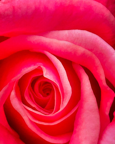 6ab362e3 c7f9 4f4f b96b 60fd079f1e65 wio38d