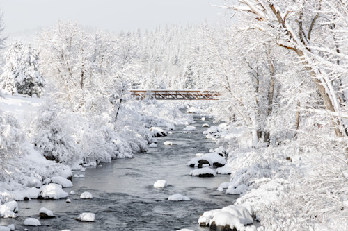 Snowy truckee river 15 u3ur87