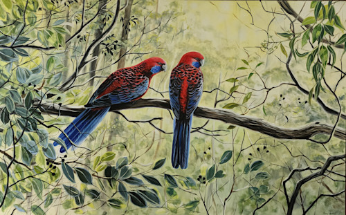 ジョアン・フックJOANNE HOOK 「CRIMSON ROSELLAS」 Crimson Rosellas - In the Dappled Light