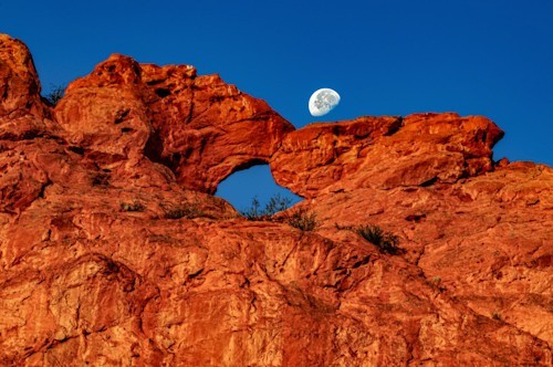 Gog kissing camels moon 2008 dsc 4632 z8rijr