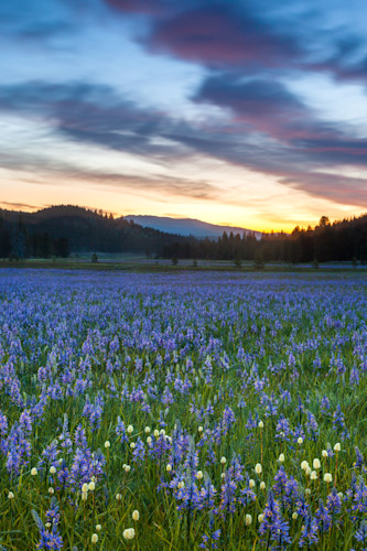 Sagehen meadows sunrise 1 svhkxo
