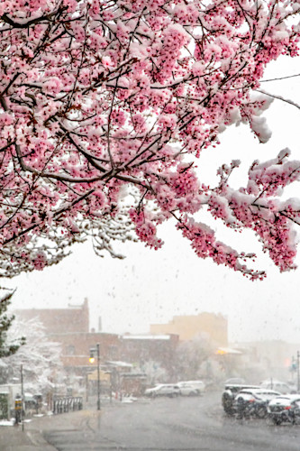 Downtown truckee 132 y2n7hy