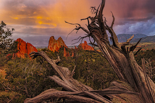 Gog 05182025 0q1a8912 ejbobx