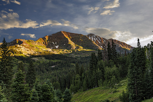 07022025 wildflowers hec2061 bkktua