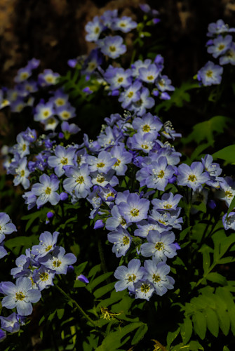 07012025 crested butte hec1992 uyzbhj