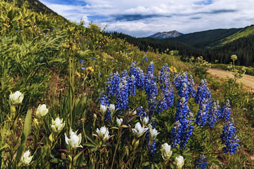 07012025 crested butte hec1969 q0qiwe
