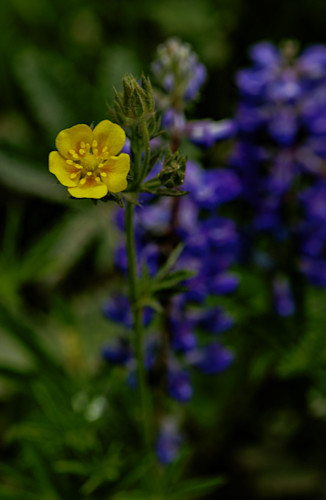 07012025 crested butte hec1912 rcnavw