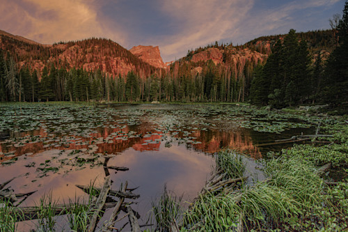 07272025 nymph lake rmnp j hec2179 lm7hhc