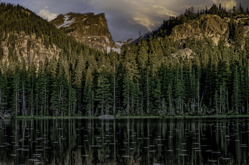 Rmnp nymph lake 072004 dsc6742 wqrpv6
