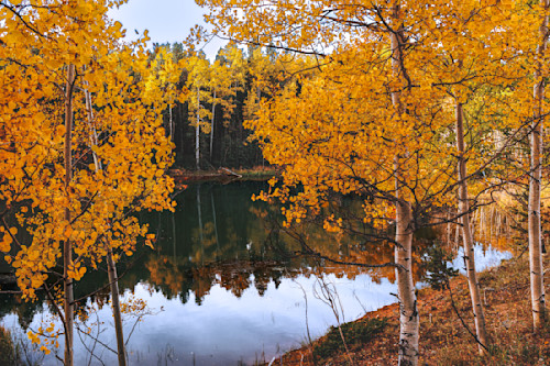 09262025 pikes peak fall colors jhe0q1a4337 ekv2rq
